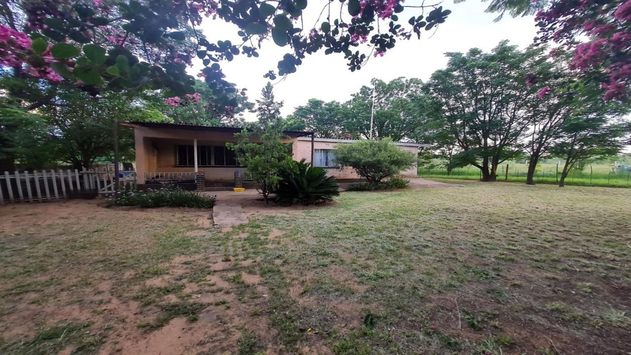 Photo 12 of 58