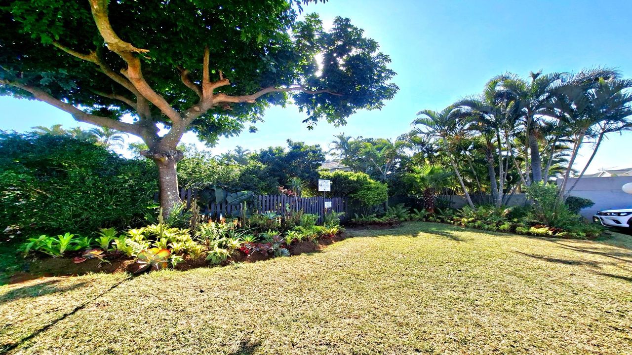 Photo 28 of 28