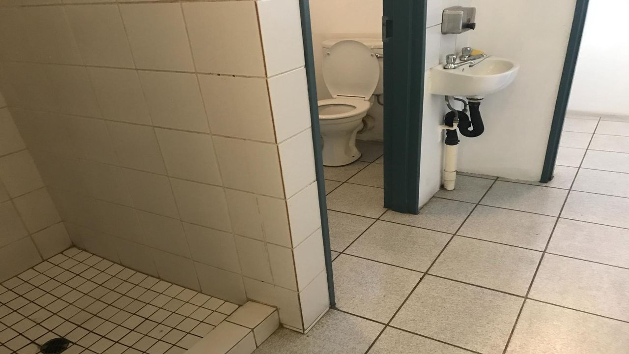 Photo 12 of 14
