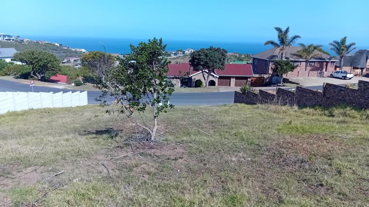 Photo 10 of 12