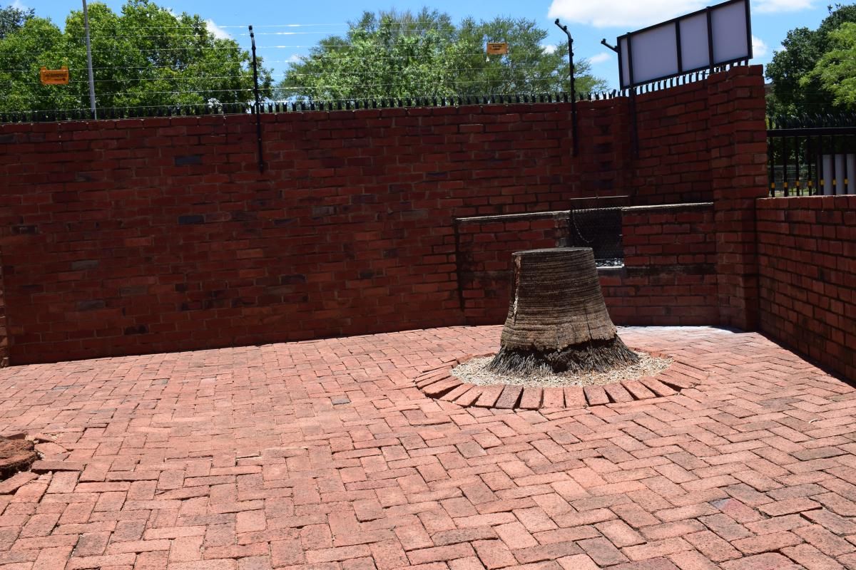 Photo 9 of 58