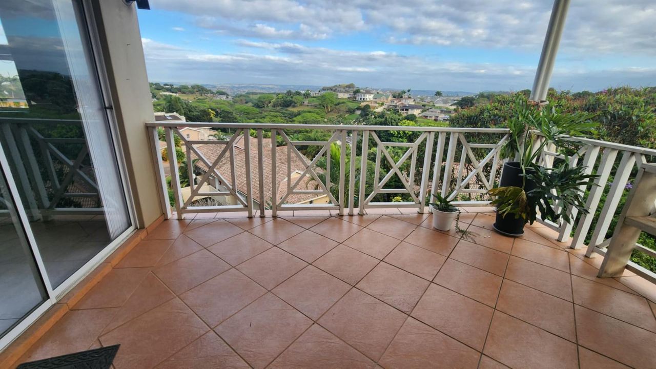 Photo 8 of 24