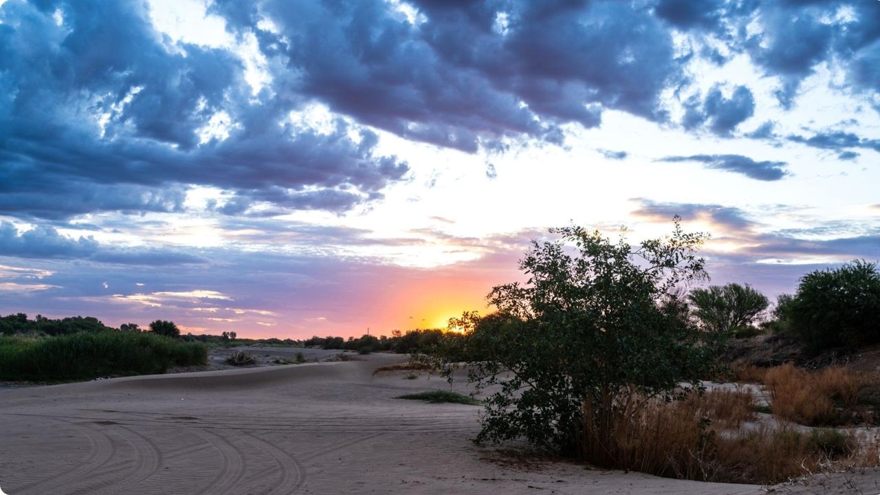 Photo 2 of 187