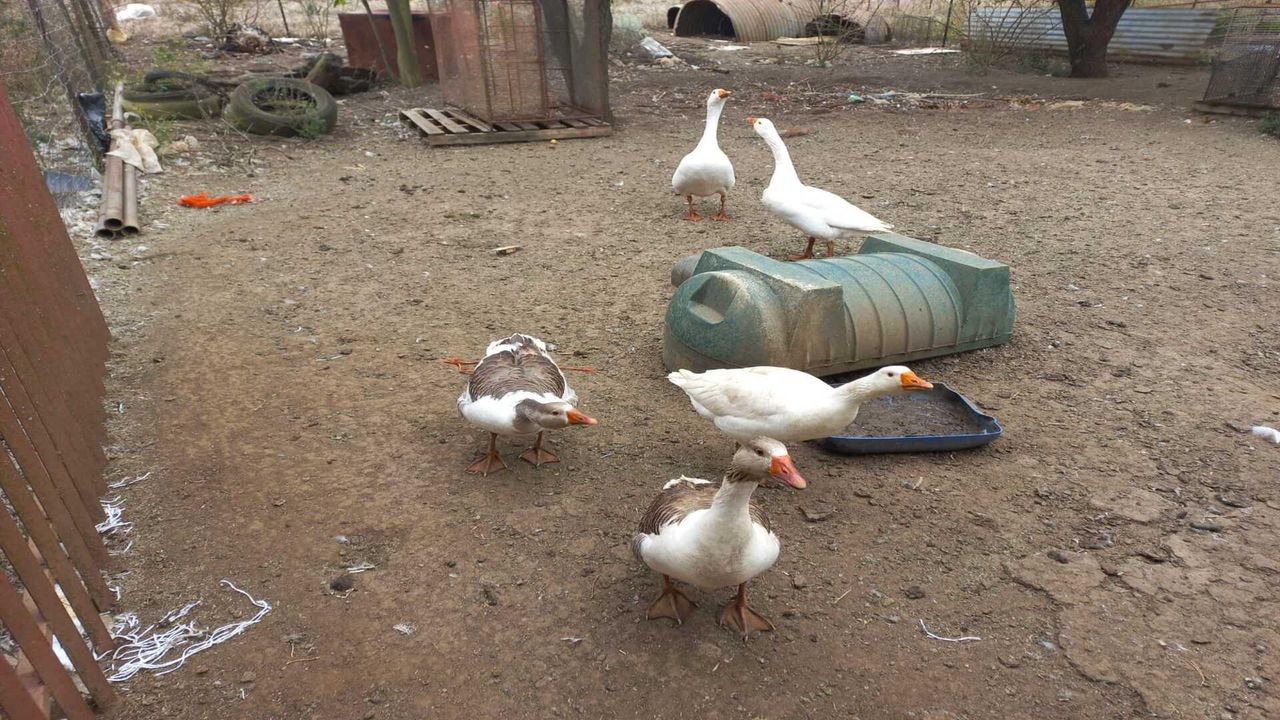 Photo 20 of 27