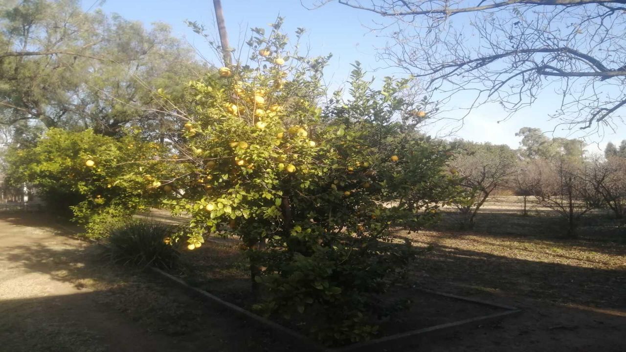 Photo 7 of 16