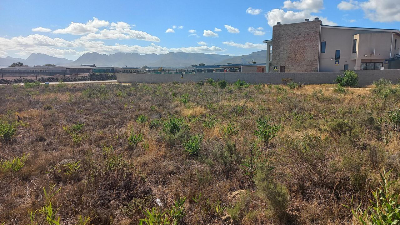 Photo 9 of 12