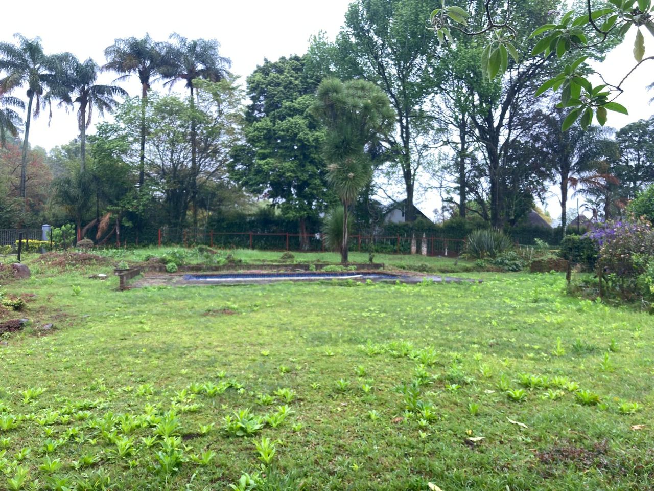 Photo 9 of 13
