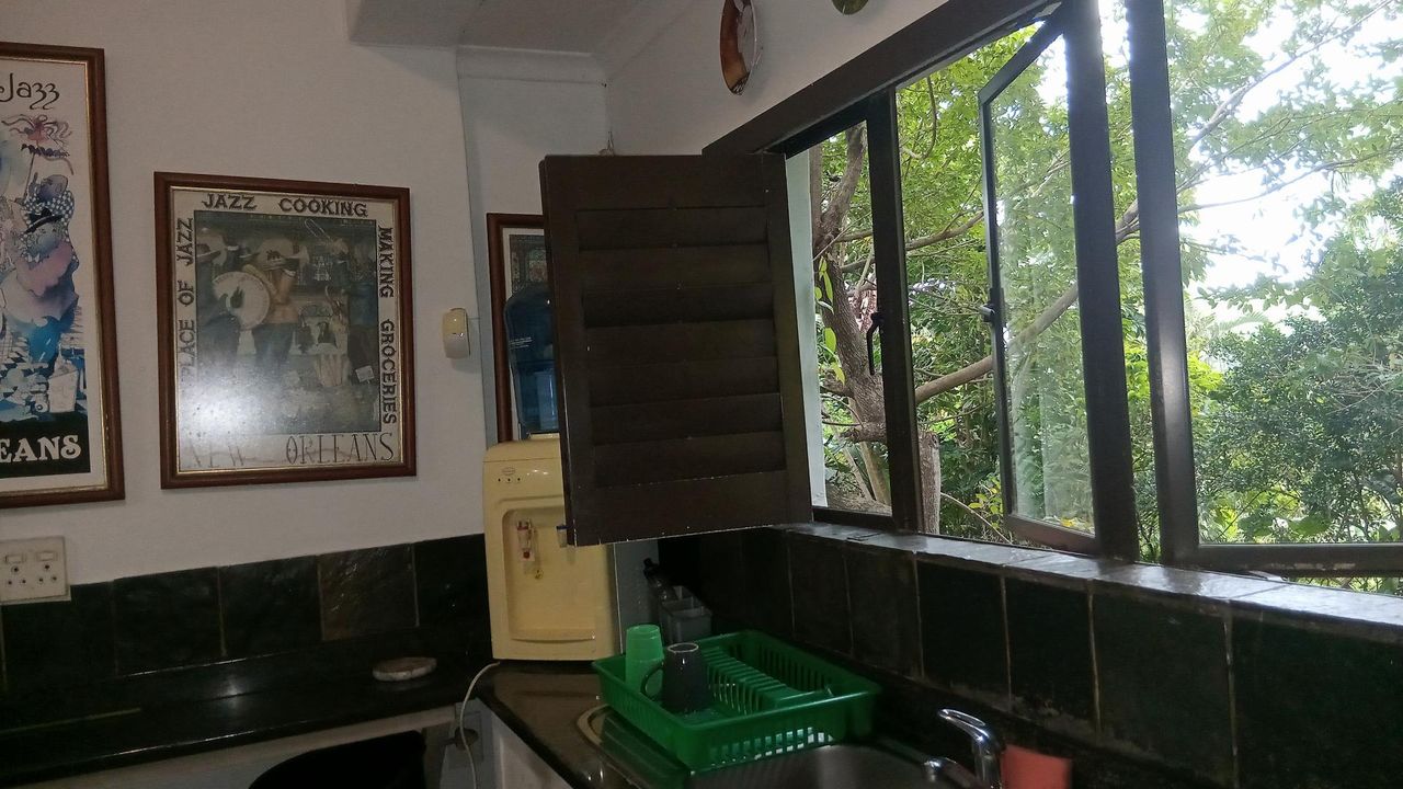 Photo 24 of 49