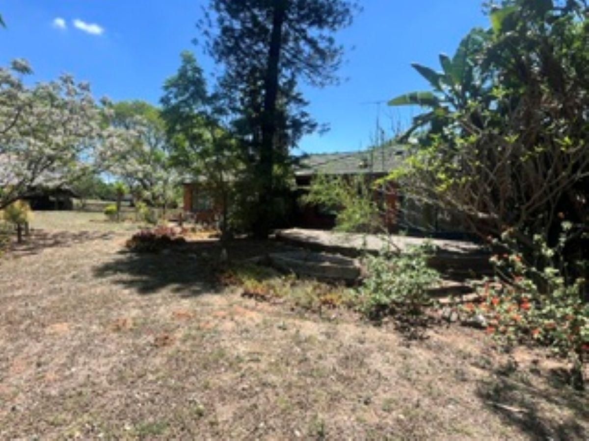 Photo 13 of 19