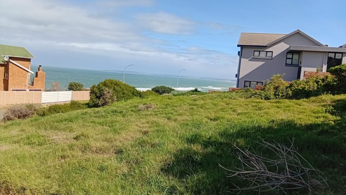 Photo 3 of 19