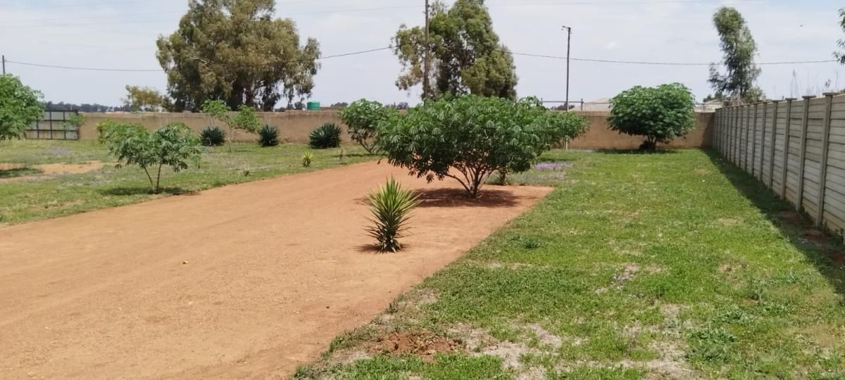 Photo 4 of 28
