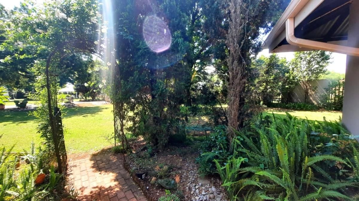 Photo 20 of 55