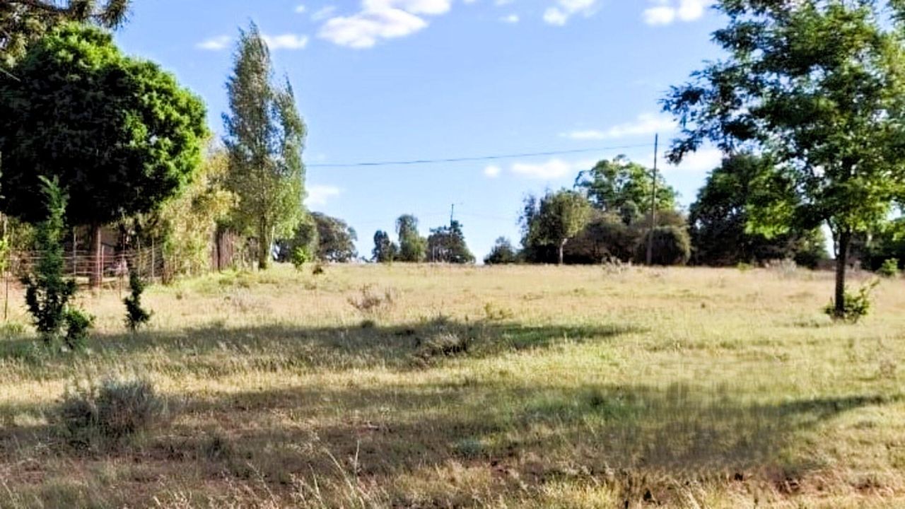 Photo 4 of 12