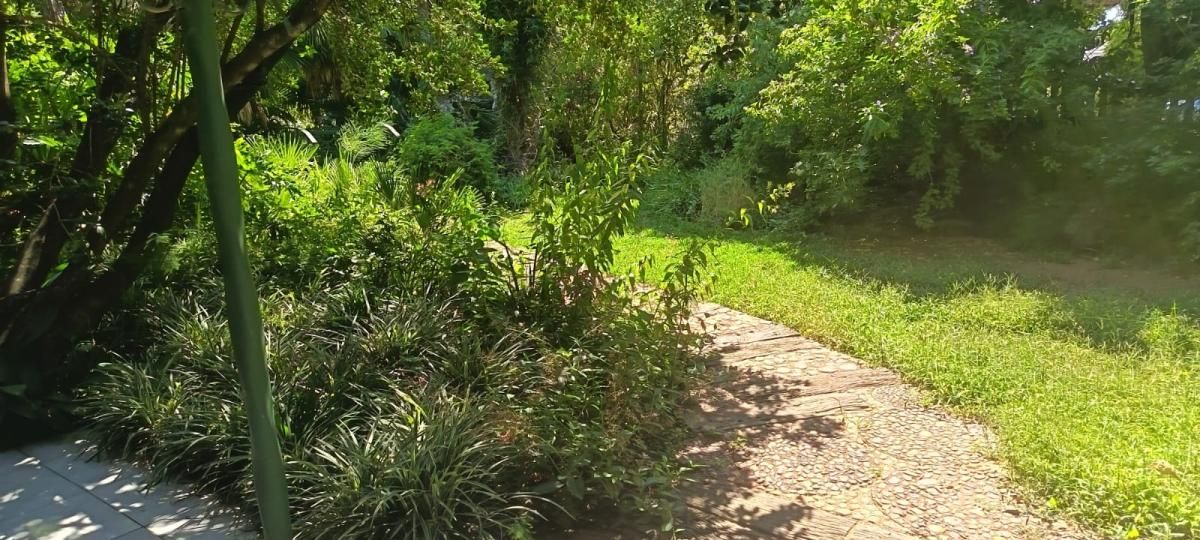 Photo 3 of 37