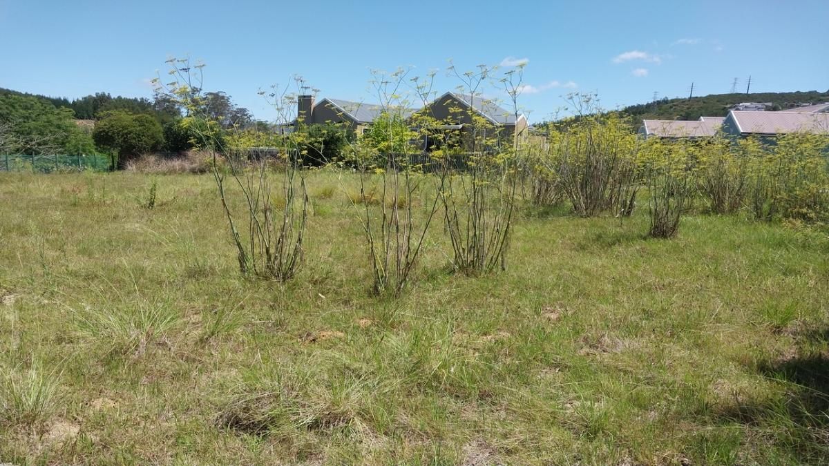 Photo 6 of 18