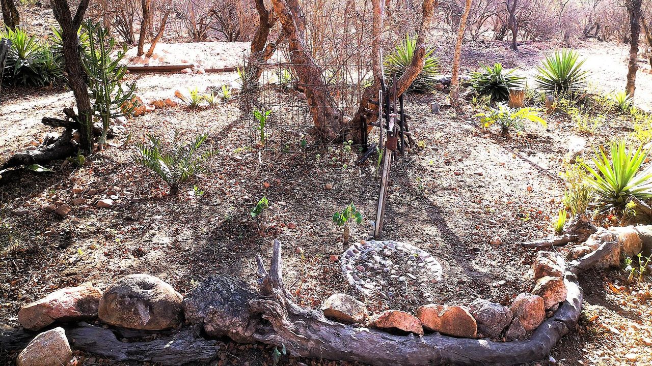 Photo 26 of 26
