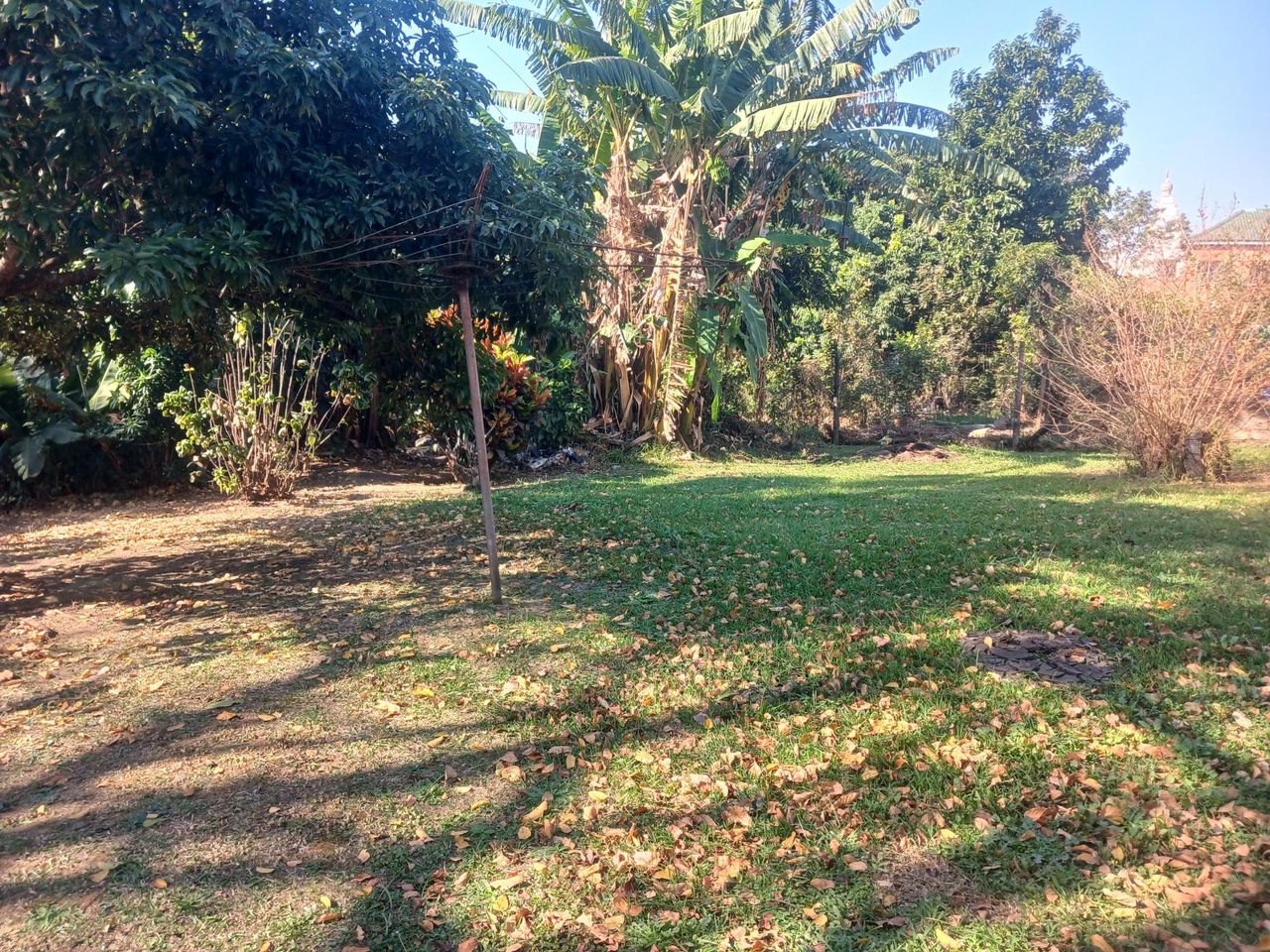 Photo 4 of 15