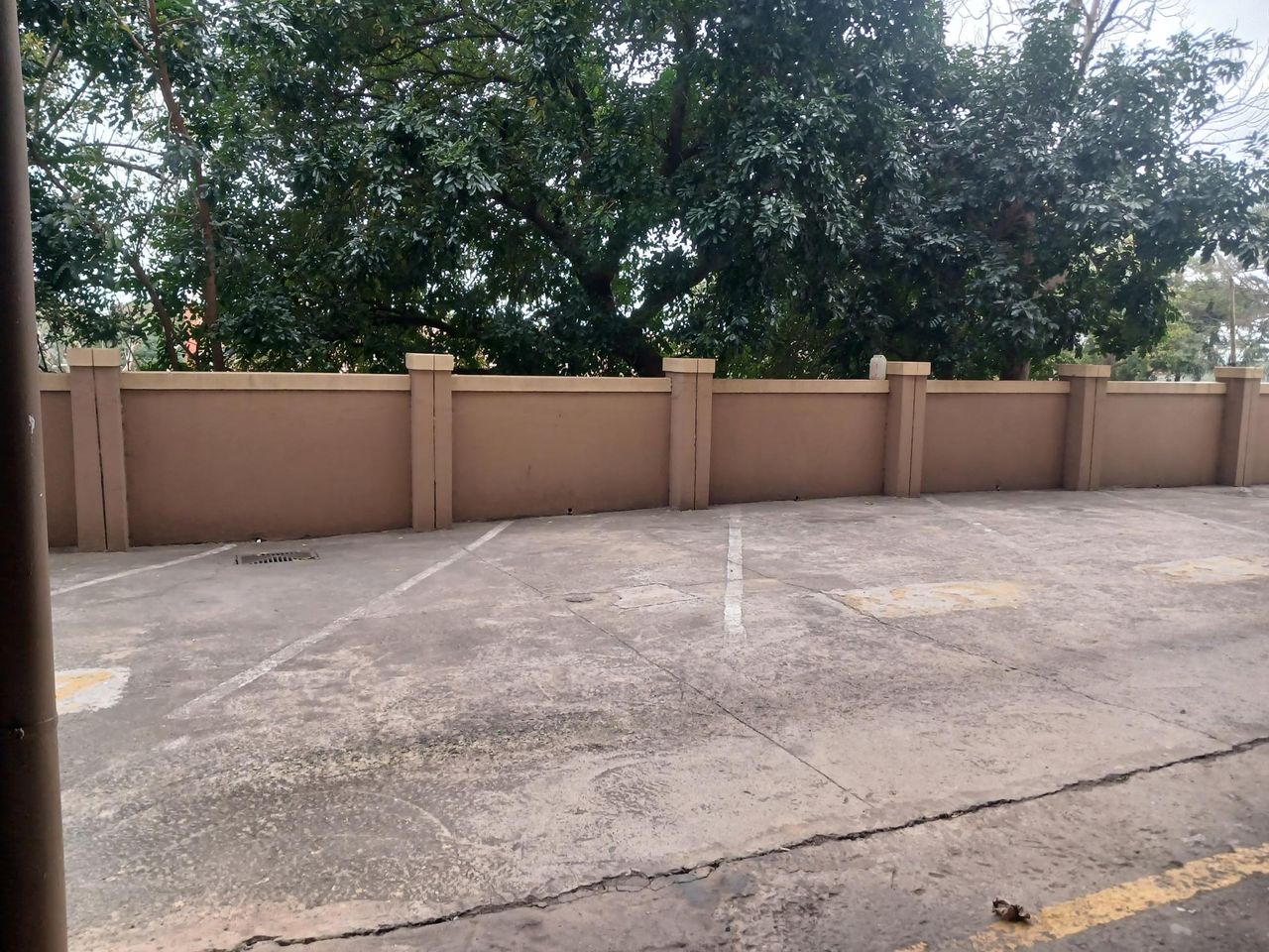 Photo 4 of 11