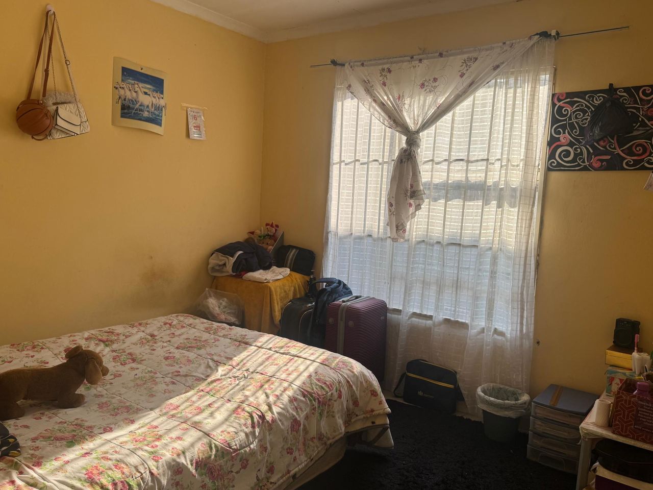 Photo 11 of 21