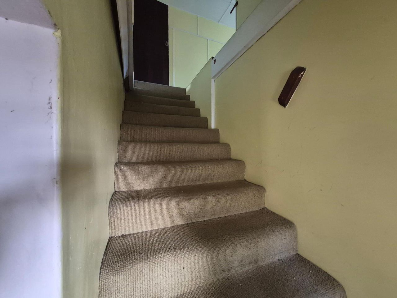 Photo 15 of 24