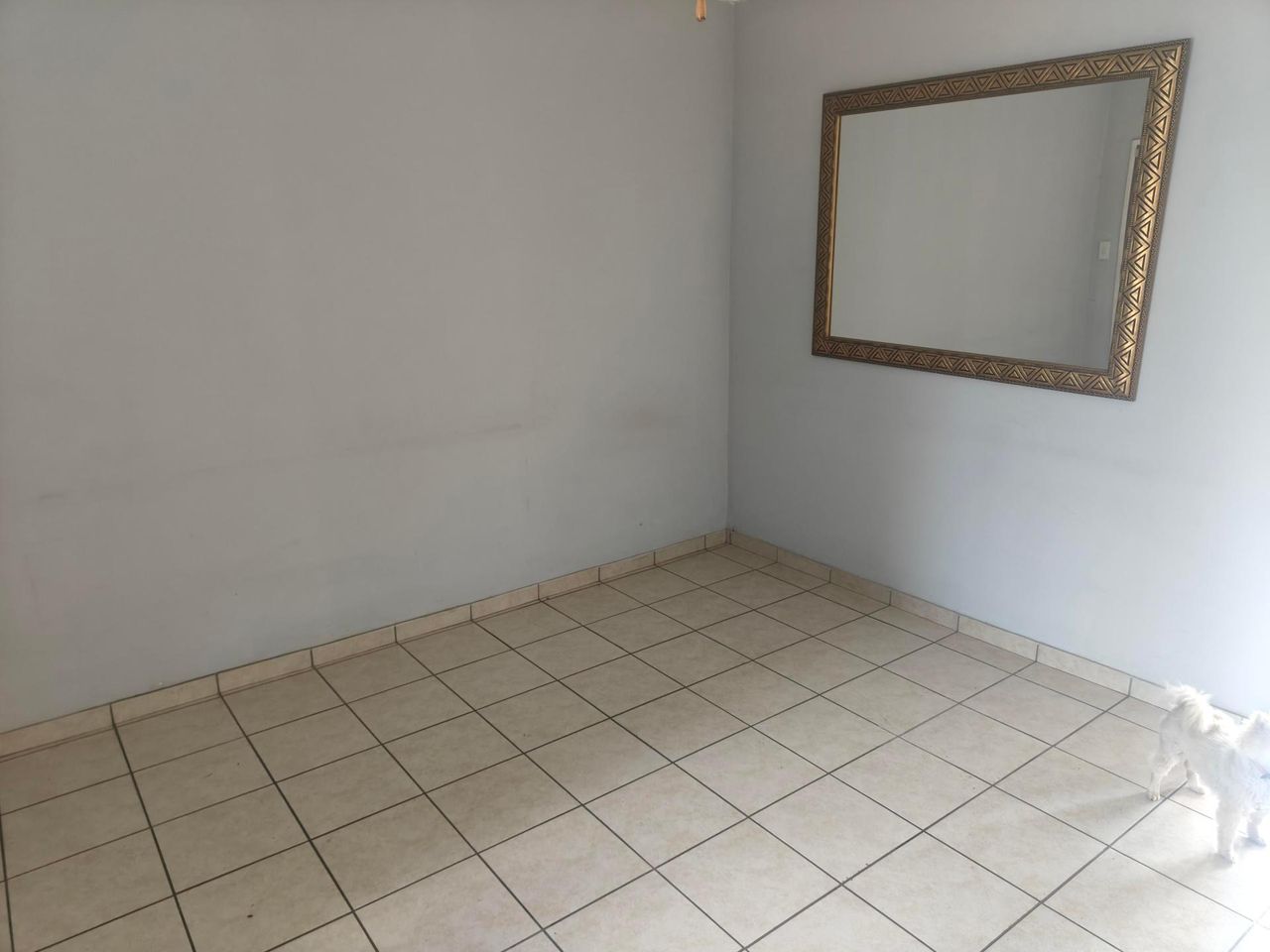 Photo 16 of 25