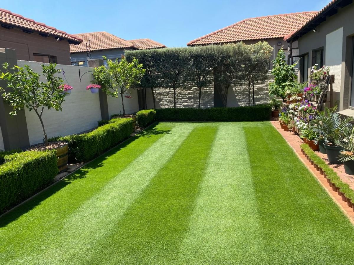 Photo 4 of 19