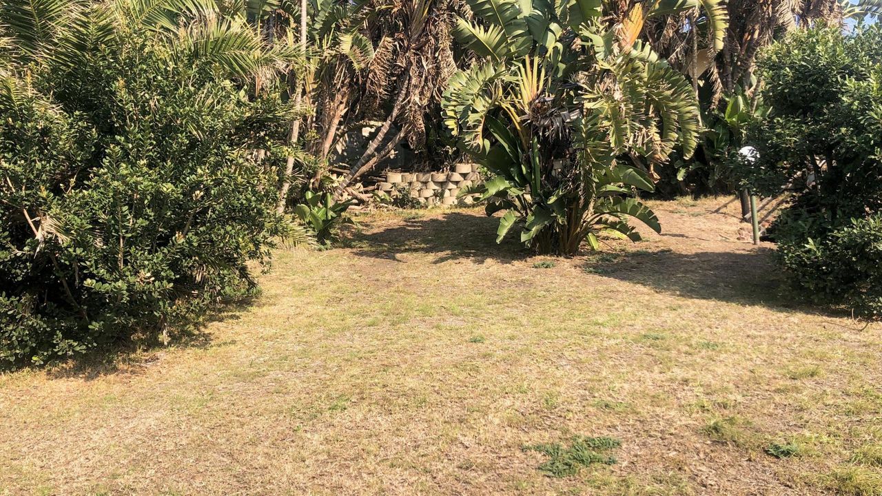 Photo 4 of 22