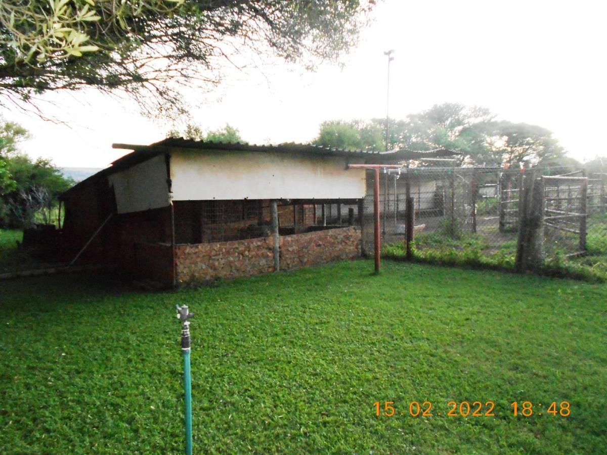 Photo 22 of 25