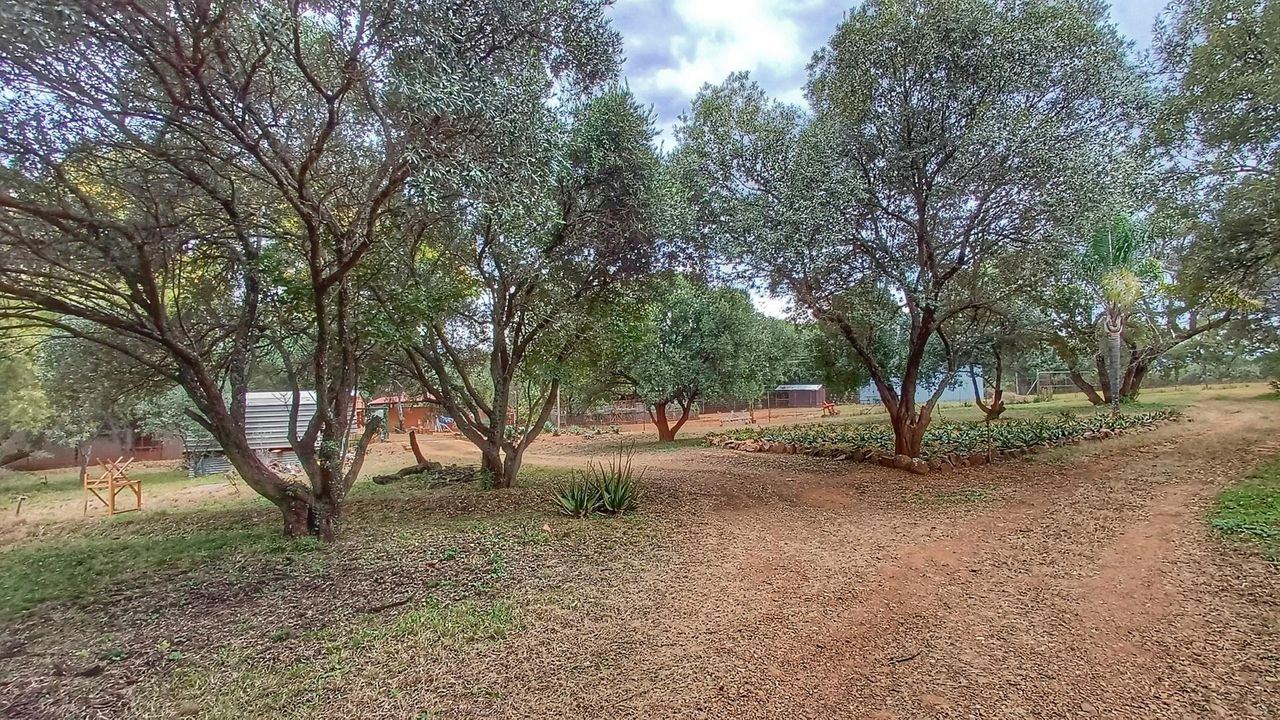 Photo 47 of 63