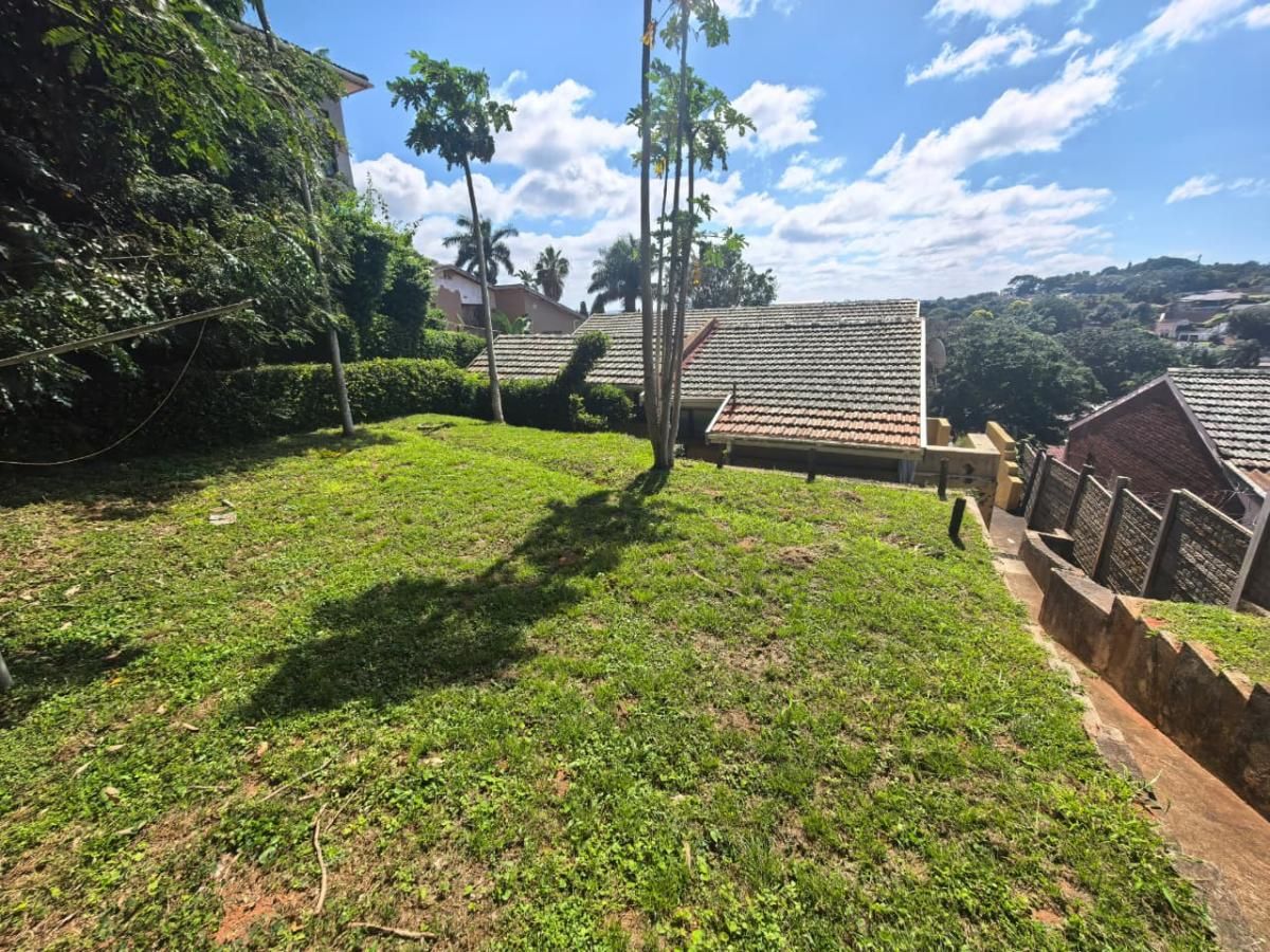 Photo 15 of 24