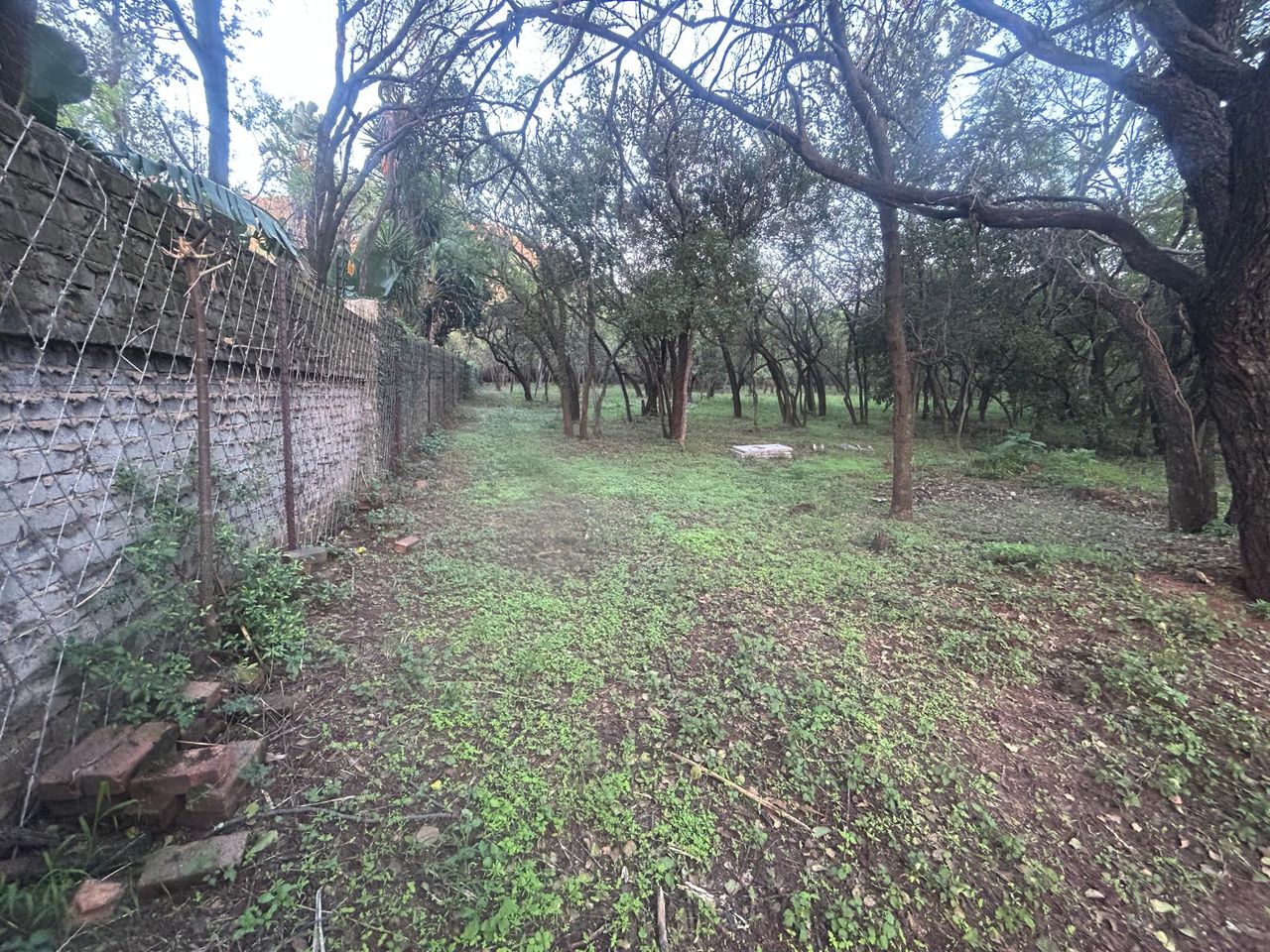 Photo 7 of 12