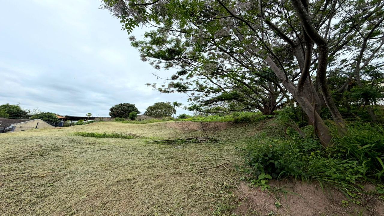 Photo 12 of 12