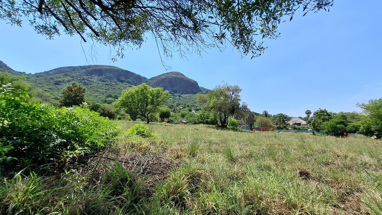 Photo 8 of 12
