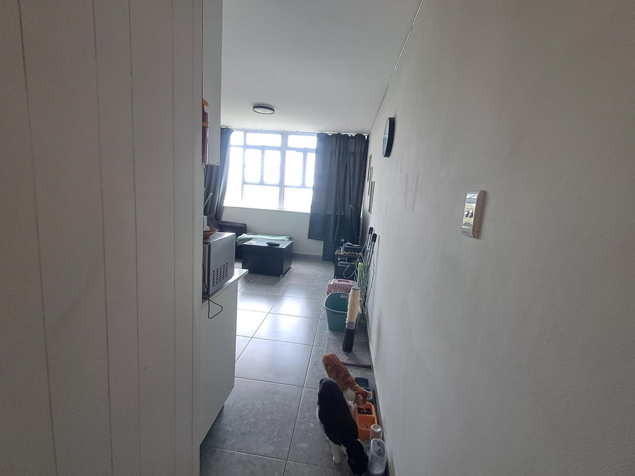 Photo 20 of 27