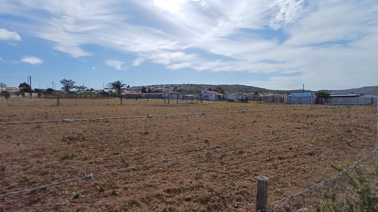 Photo 12 of 12