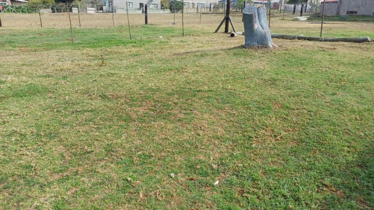 Photo 8 of 16