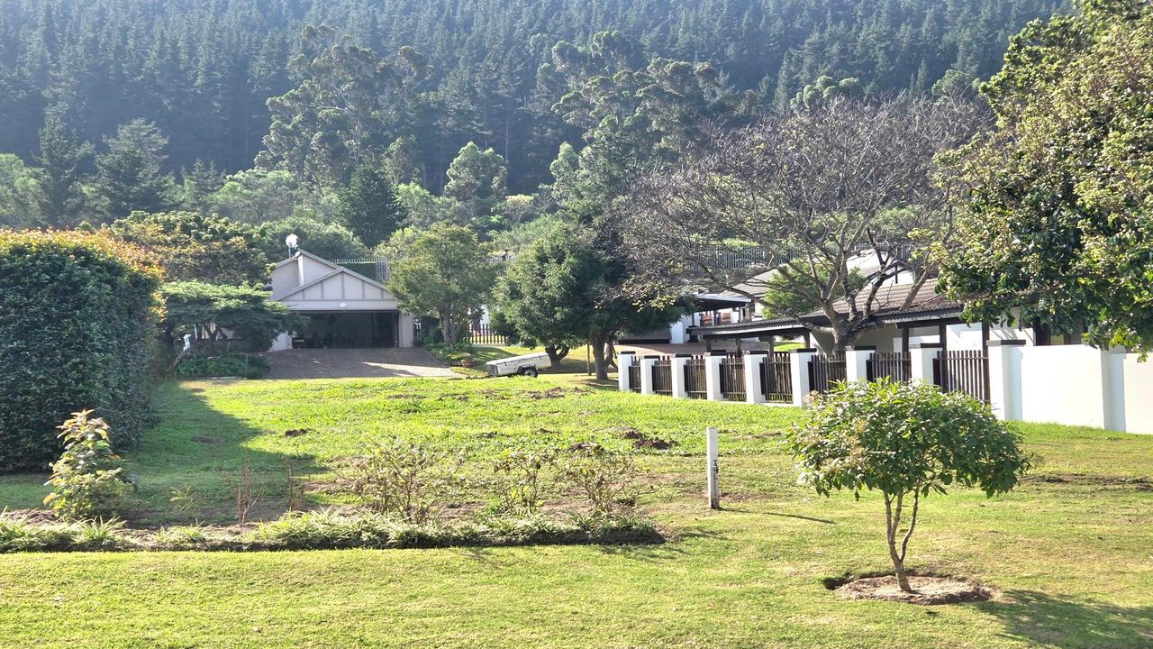 Photo 5 of 12