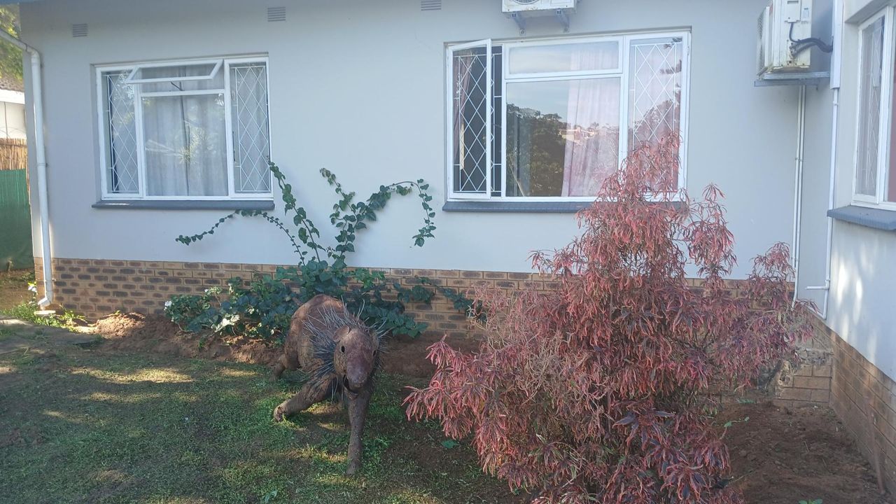 Photo 27 of 27