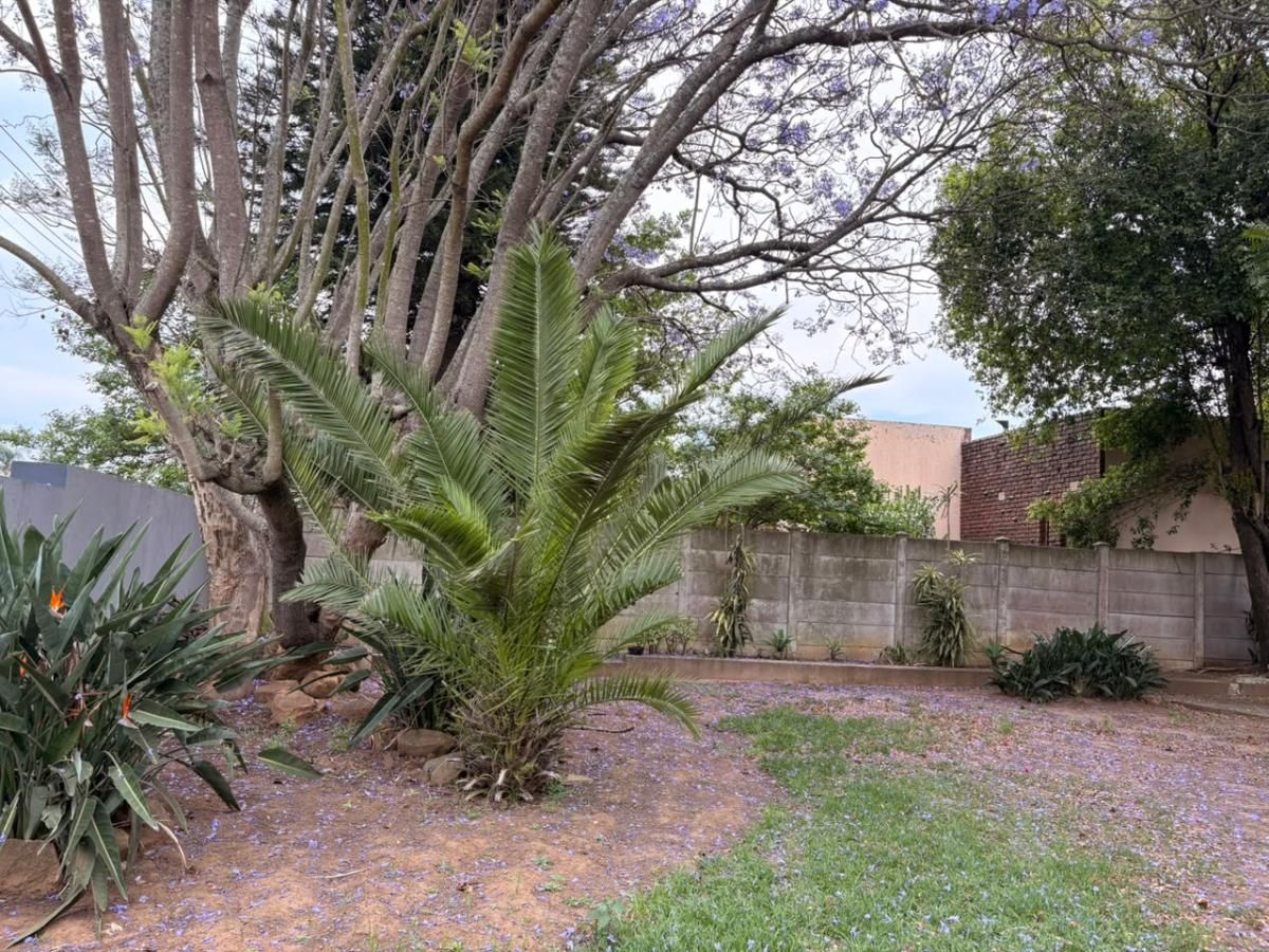 Photo 21 of 46