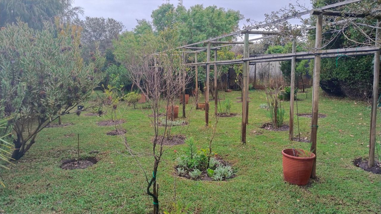 Photo 6 of 13