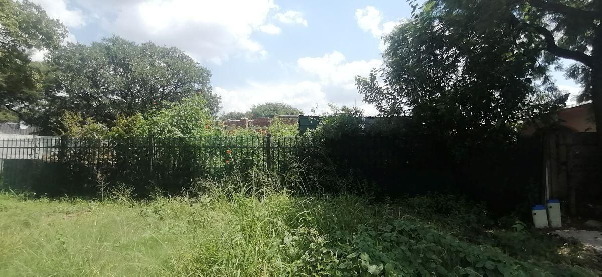 Photo 8 of 12