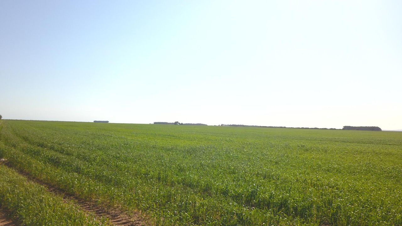 Photo 9 of 18