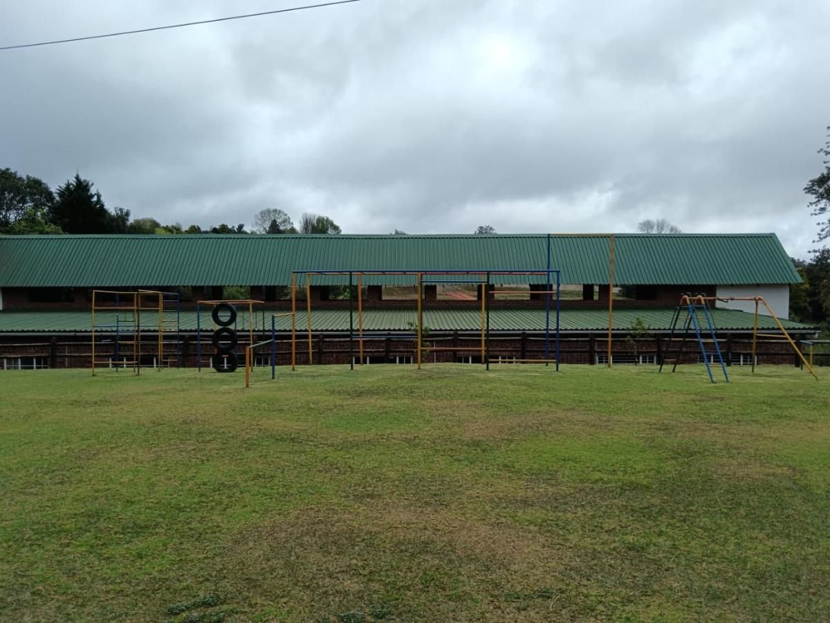 Photo 5 of 29