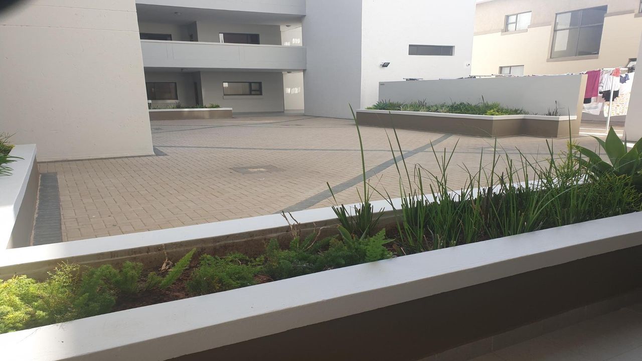 Photo 12 of 12