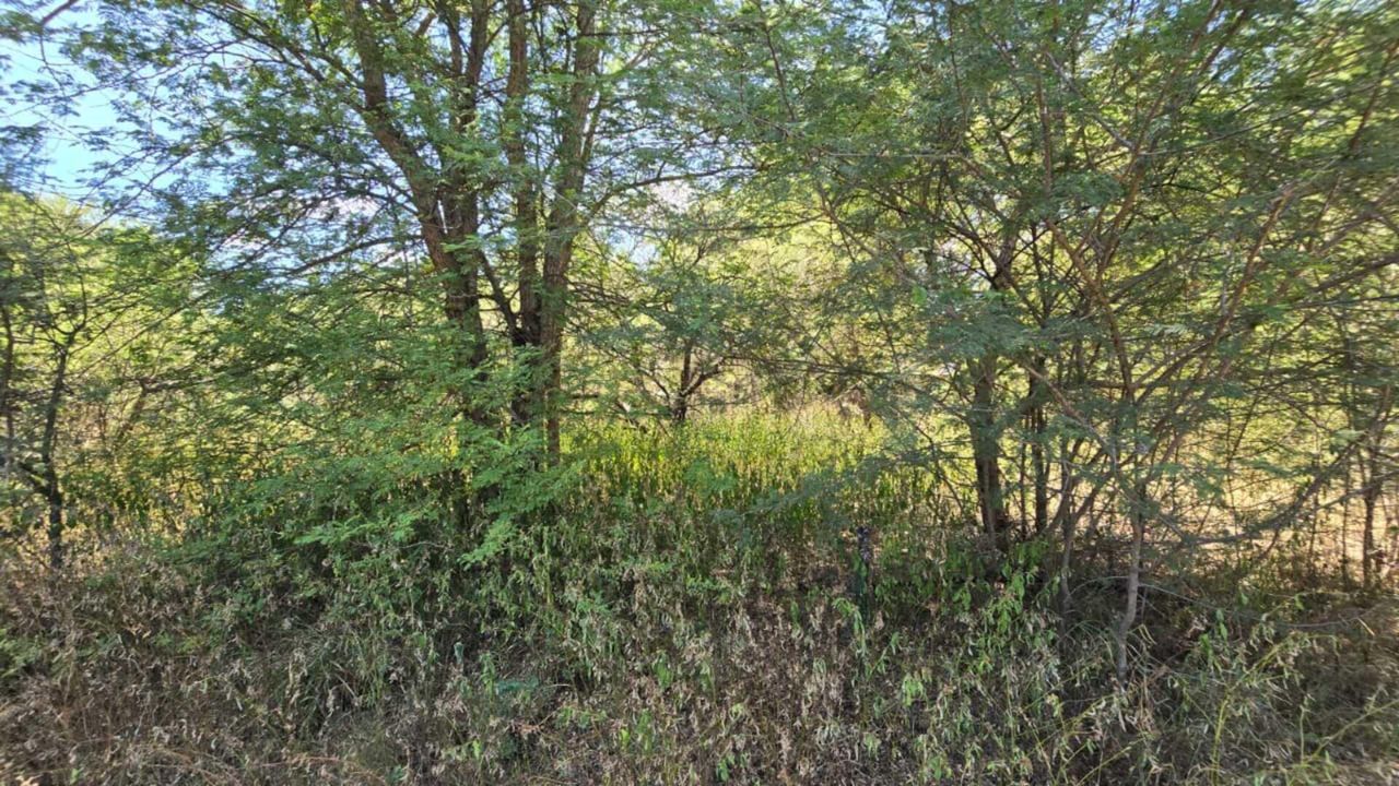 Photo 9 of 21