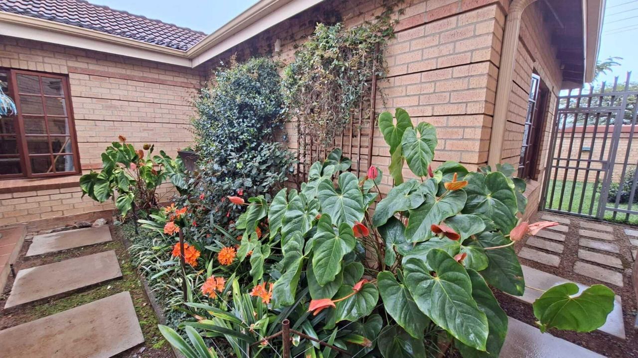 Photo 14 of 24