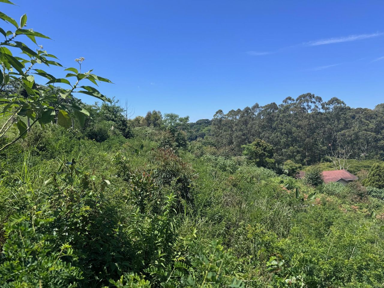 Photo 15 of 19