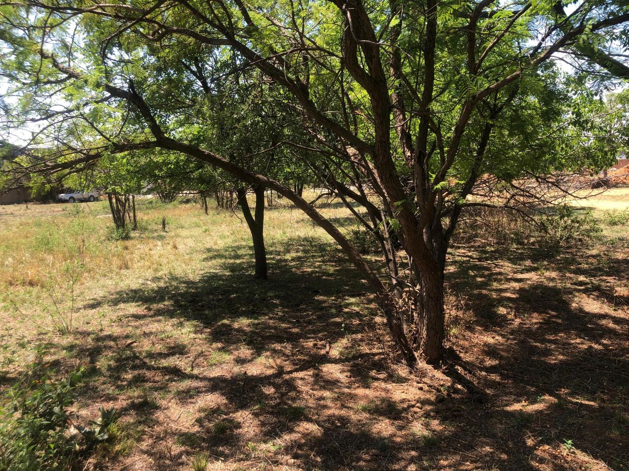 Photo 6 of 12