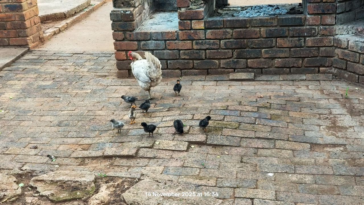 Photo 34 of 36