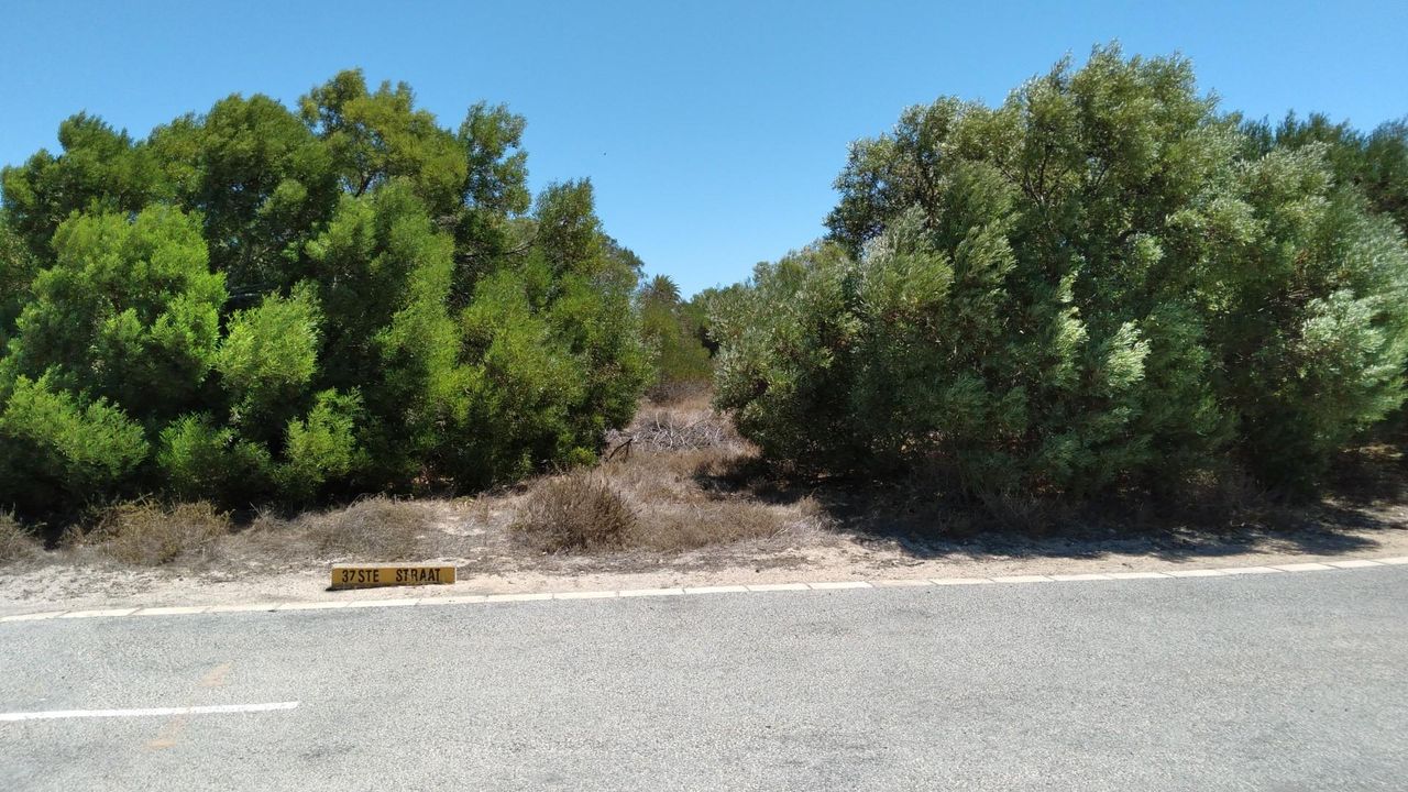 Photo 5 of 17
